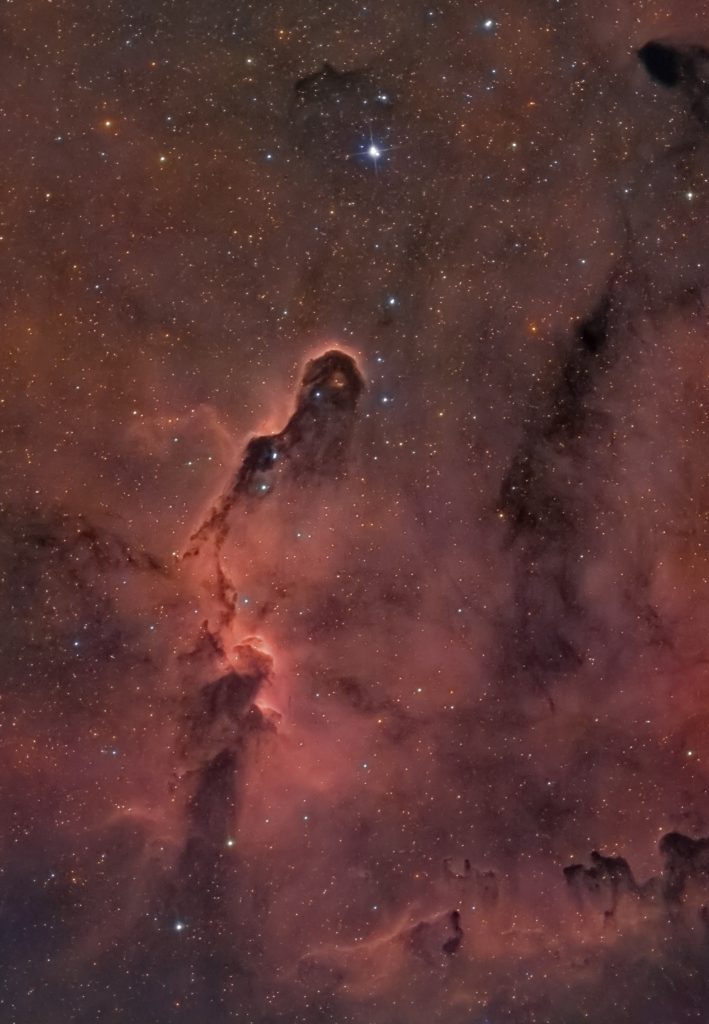 Nebulosa oscura chiamata vdB 142 e soprannominata Proboscide d'Elefante Telescopio SkyWatcher 200/1000 Recensione