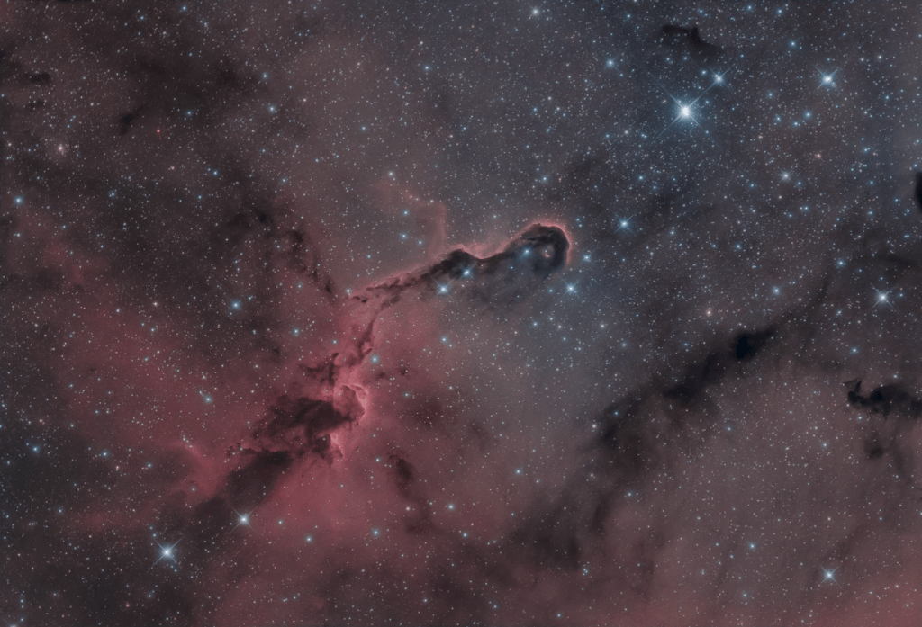 nebulosa Proboscide di Elefante IC 1396 astrofotografia eaf focuser zwo ZWO ASI 294 MC Pro Recensione