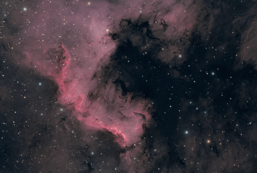 Nebulosa Nord America NGC 7000