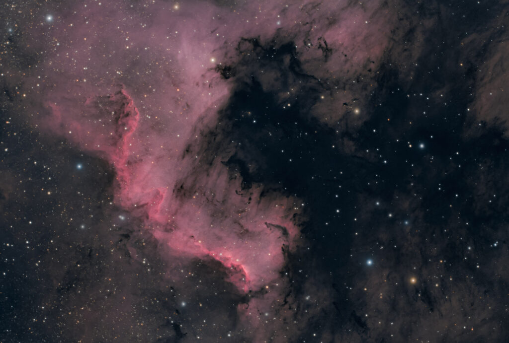Nebulosa Muro del Cigno parte della Nebulosa Nord America NGC 7000 o C 20 astrofotografia