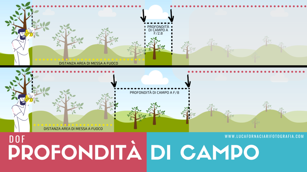 Immagine della profondità di campo poco profonda (fuoco selettivo