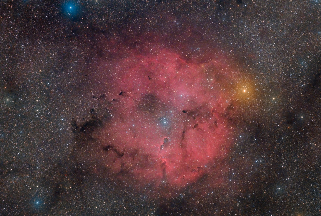 Astrofotografia sulla Nebulosa Proboscide d'Elefante e sull'ammasso TR37 Nebulosa Proboscide di Elefante IC 1396 - 50 minuti con Askar ACL200 APO 50mm F/4.0 e ZWO ASI 2400 in banda larga e 300 minuti di H-Alpha da 3nm con ASI 294MM