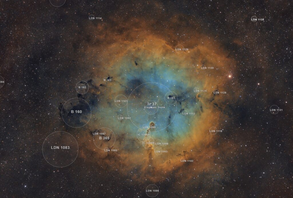 Astrofotografia sulla Nebulosa Proboscide d'Elefante e sull'ammasso TR37