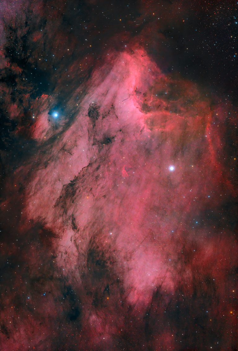 Pelican Nebula - Astrofotografia sulla nebulosa Pellicano