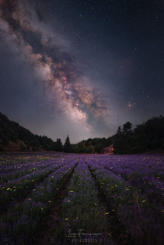 Corso online di fotografia notturna e astrofotografia 2025 webinar tutorial lezioni lezione scuola paesaggistica fotografare nebulose galassie
