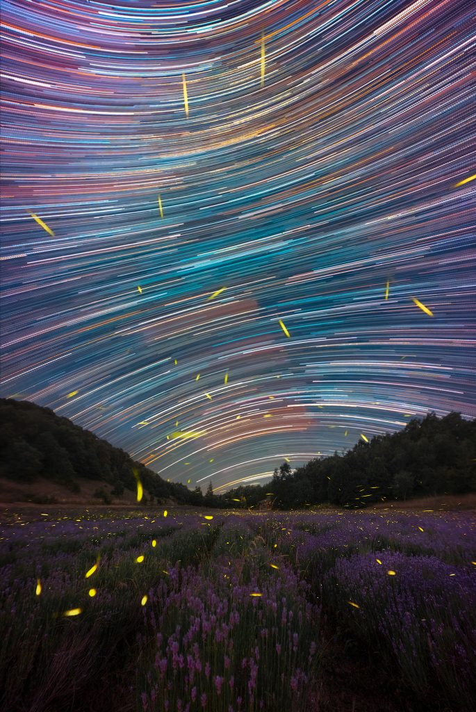 Lavanda e Via Lattea: workshop fotografico con astroinseguitori