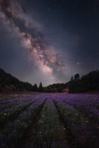 Lavanda e Via Lattea: workshop fotografico con astroinseguitori Astrofotografia facile e a basso costo: fotografare la Via Lattea dal treppiede