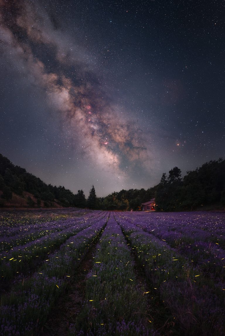 Lavanda e Via Lattea: workshop fotografico con astroinseguitori